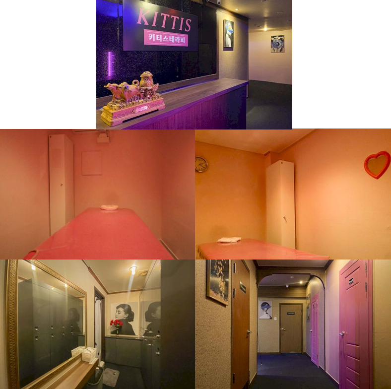 키티스.png